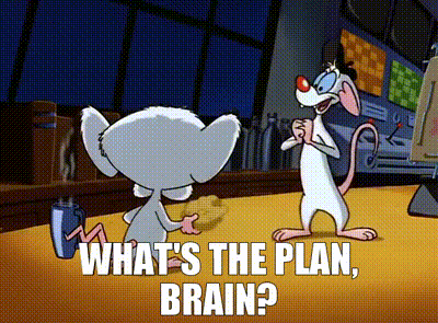 What's the plan, brain?