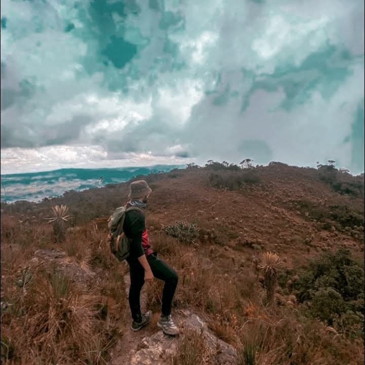 Ambient 8